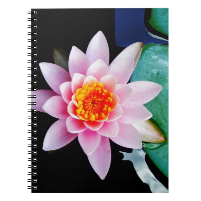 Carnet Fleur de laine d'eau chaude rose et orange de lotu (Devant)