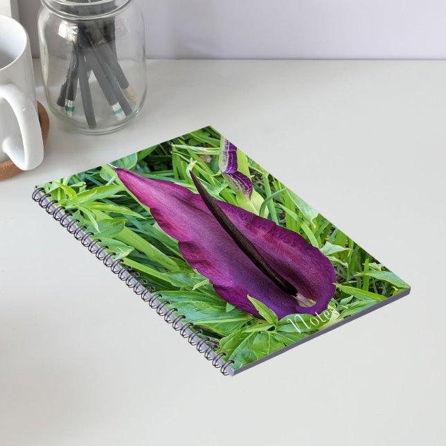Carnet Fleur de Lys Dragon Pourpre en Fleur (In Situ)