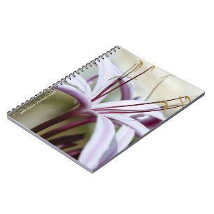 Carnet Fleur de Lys Rose Douce Art Photographique Botaniq