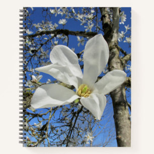 Carnet Fleur de Magnolia blanche dans l'arbre.