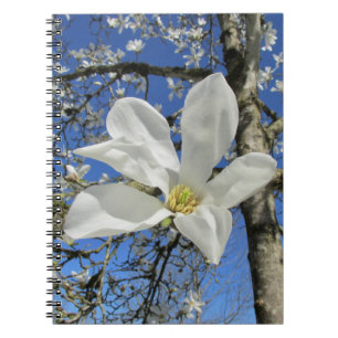 Carnet Fleur de Magnolia blanche dans l'arbre.