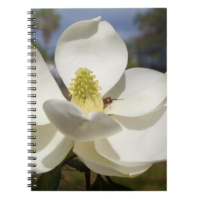 Carnet Fleur de Magnolia blanche et une abeille (Devant)