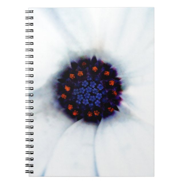 Carnet Fleur de Marguerite Africaine (Devant)