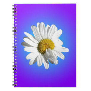 Carnet Fleur de marguerite blanche dégradé floral bleu vi
