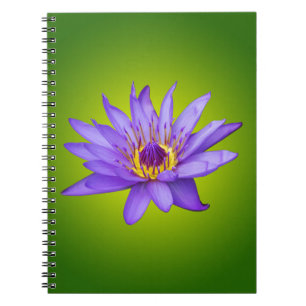 Carnet Fleur de nénuphar étang aquatique fleur d'eau viol