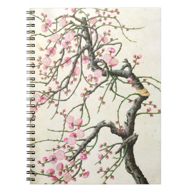 Carnet Fleur de pêche (couleur sur le papier) (Devant)