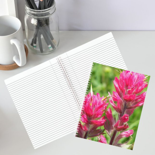 Carnet Fleur de Pinceau Magenta Floraison (In Situ)