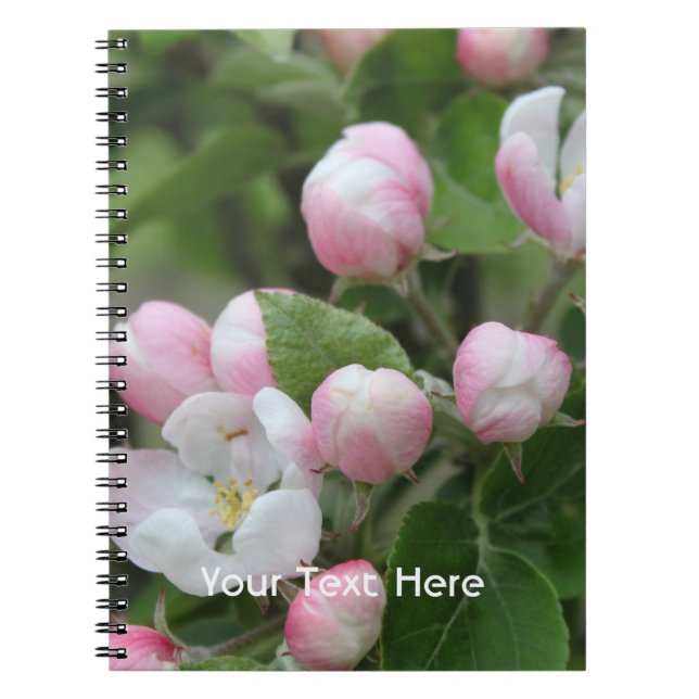 Carnet fleur de pommier et feuilles vertes (Devant)
