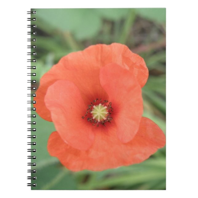 Carnet Fleur de Poppy sauvage (Devant)