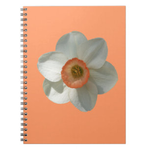 Carnet Fleur de printemps de jonquille rose