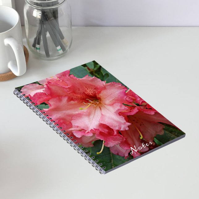 Carnet Fleur de Rhododendron rose (In Situ)