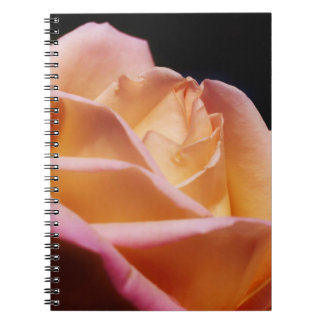 Carnet Fleur de rose jaune intense nature