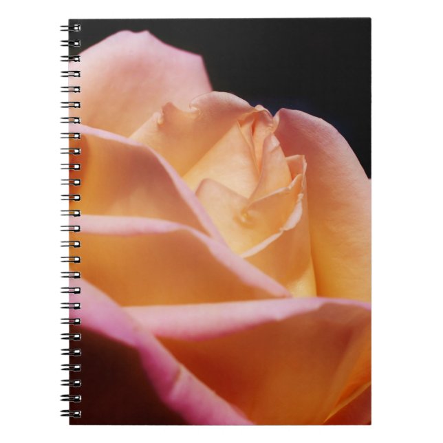 Carnet Fleur de rose jaune intense nature (Devant)