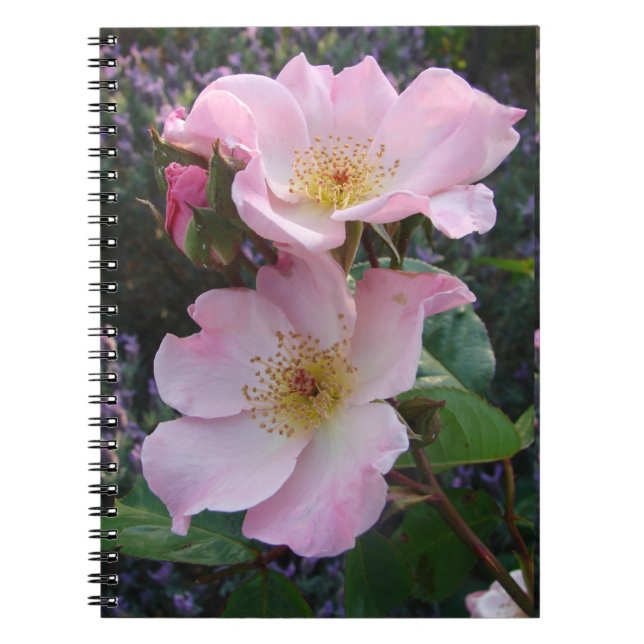 Carnet Fleur de rose sauvage rose floral Photo Mum Fête d (Devant)