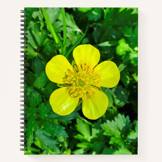 Carnet Fleur de tasse à beurre en flammes. (Devant)