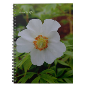 Carnet Fleur de tourbe blanche simple
