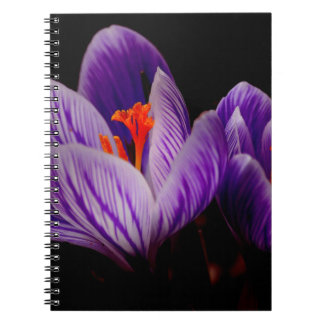Carnet Fleur de tulipe violette moderne