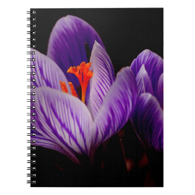 Carnet Fleur de tulipe violette moderne (Devant)