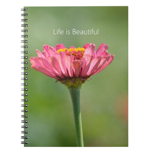 Carnet Fleur de Zinnia rose (ma photographie) (Devant)