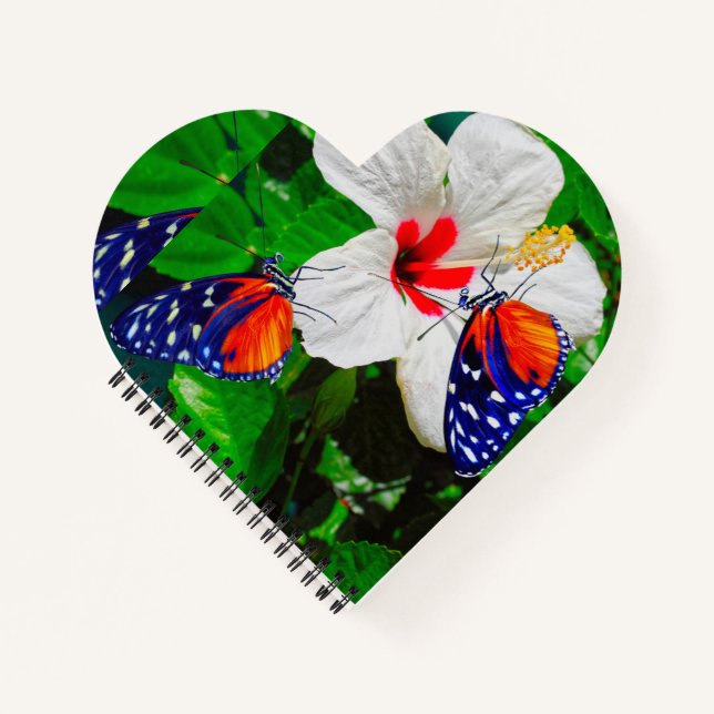Carnet Fleur d'Hibiscus avec 2 papillons à ailes longues (Devant)