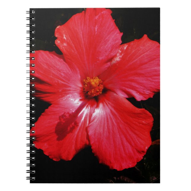 Carnet Fleur d'Hibiscus rouge rose chaud sur noir (Devant)