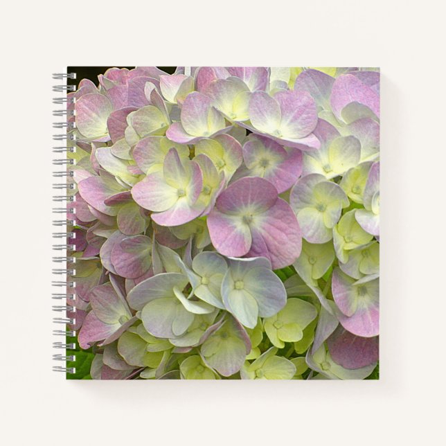 Carnet Fleur d'Hortensia (Devant)
