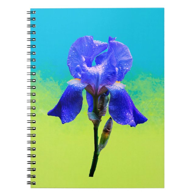 Carnet Fleur d'iris  (Devant)
