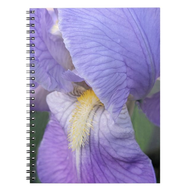 Carnet Fleur d'Iris Pourpre Florale (Devant)
