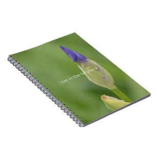 Carnet Fleur d'Iris Pourpre (ma photographie)
