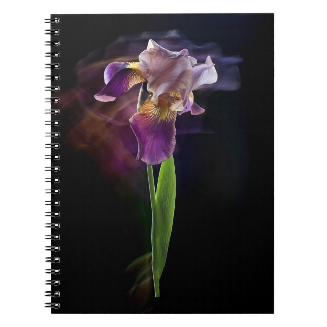 Carnet Fleur d'iris sur un fond noir. Pose longue. (Devant)