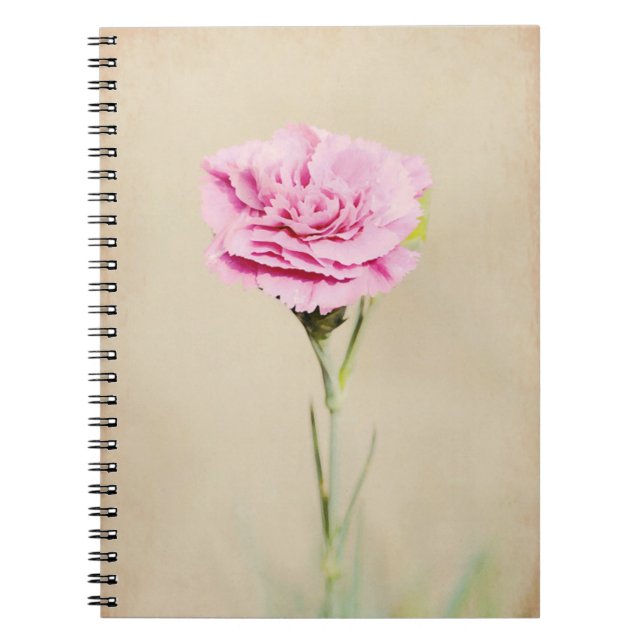 Carnet Fleur d'oeillet rose du jardin de Gertie (Devant)