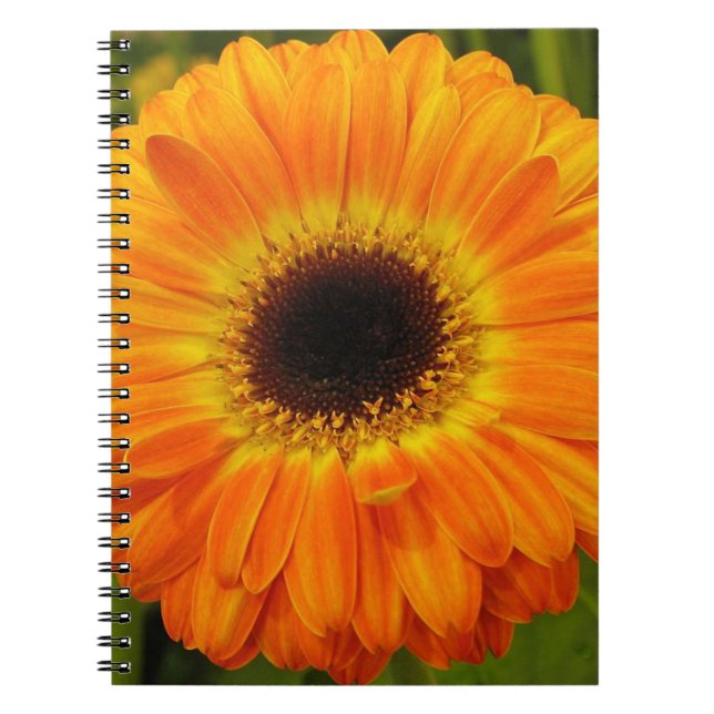 Carnet Fleur d'Orange (Devant)