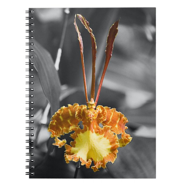 Carnet Fleur d'orchidée jaune (Devant)