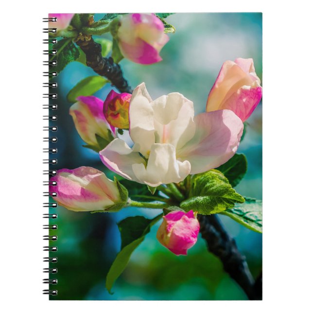 Carnet Fleur et bourgeons de pommes de terre (Devant)