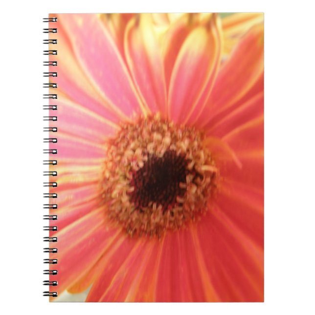 Carnet Fleur Gerbera Daisy (Devant)