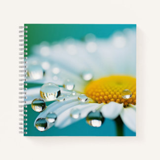 Carnet Fleur marguerite Pétale Nature serein Calme