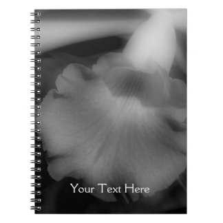 Carnet Fleur Orchidée Noire Et Blanc