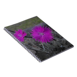 Carnet fleur pourpre