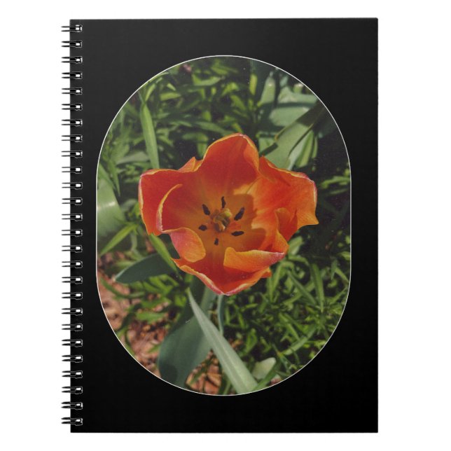 Carnet fleur printanière rouge (Devant)
