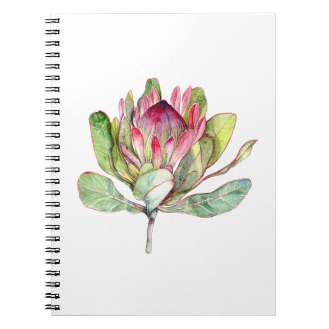 Carnet Fleur Protea (Devant)