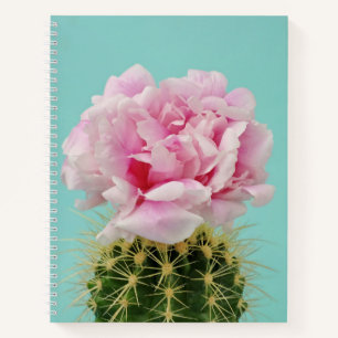 Carnet Fleur rose Au-Dessus de Spiky Cactus