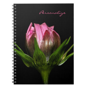 Carnet Fleur rose de cosmos avec le nom