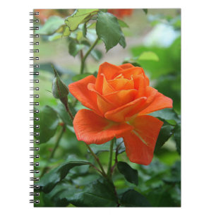 Carnet Fleur rose de la nature