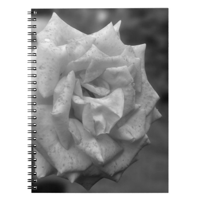 Carnet Fleur Rose en chaume en BW (Devant)