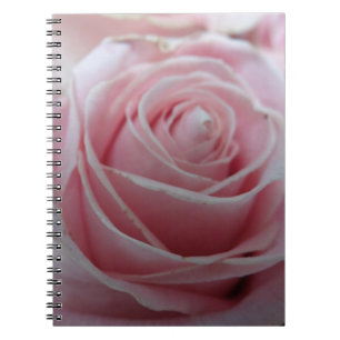 Carnet Fleur Rose mignonne
