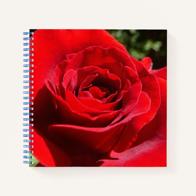 Carnet Fleur rose rouge vif Belle florale (Devant)