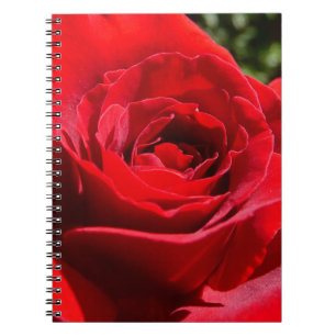 Carnet Fleur rose rouge vif Belle florale