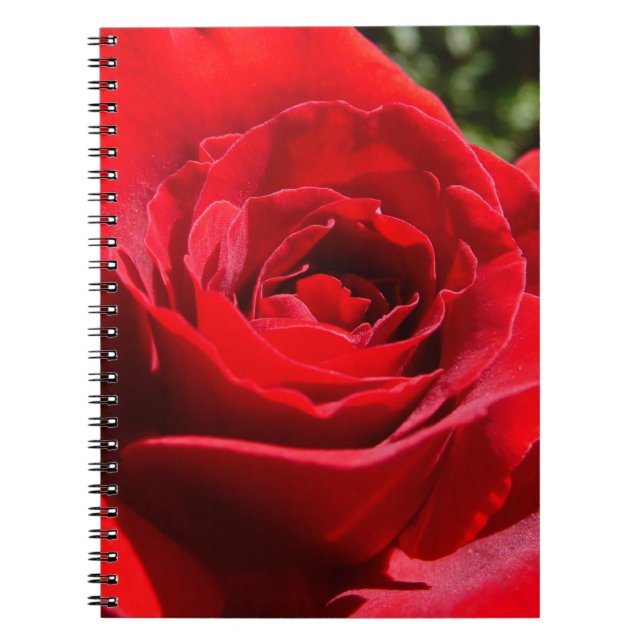 Carnet Fleur rose rouge vif Belle florale (Devant)