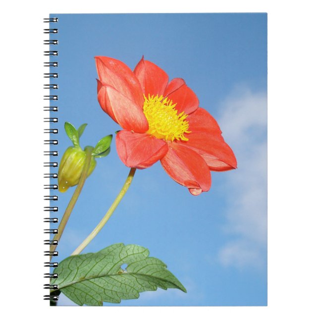 Carnet Fleur rouge de cerisier à fleurs de fraisier (Devant)