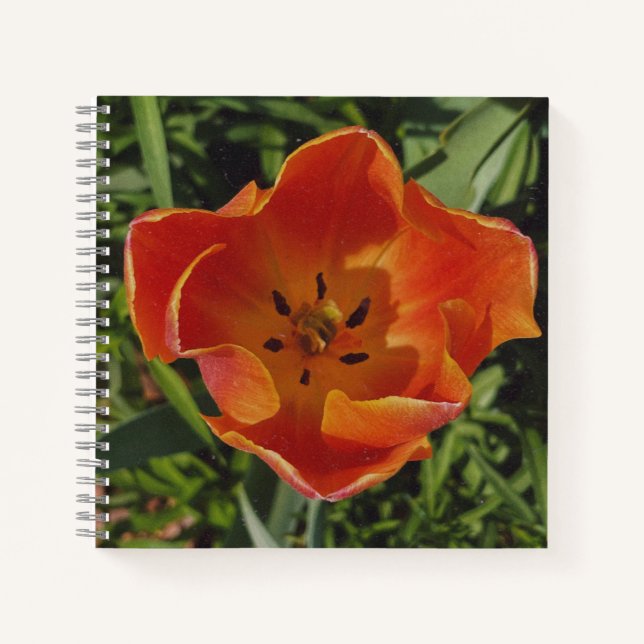 Carnet fleur rouge de printemps  (Devant)